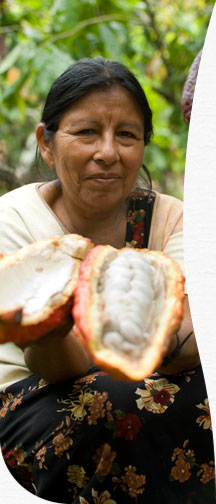 Fairer Handel, Fair Trade für die Zukunft der Menschen aus Entwicklungsländern